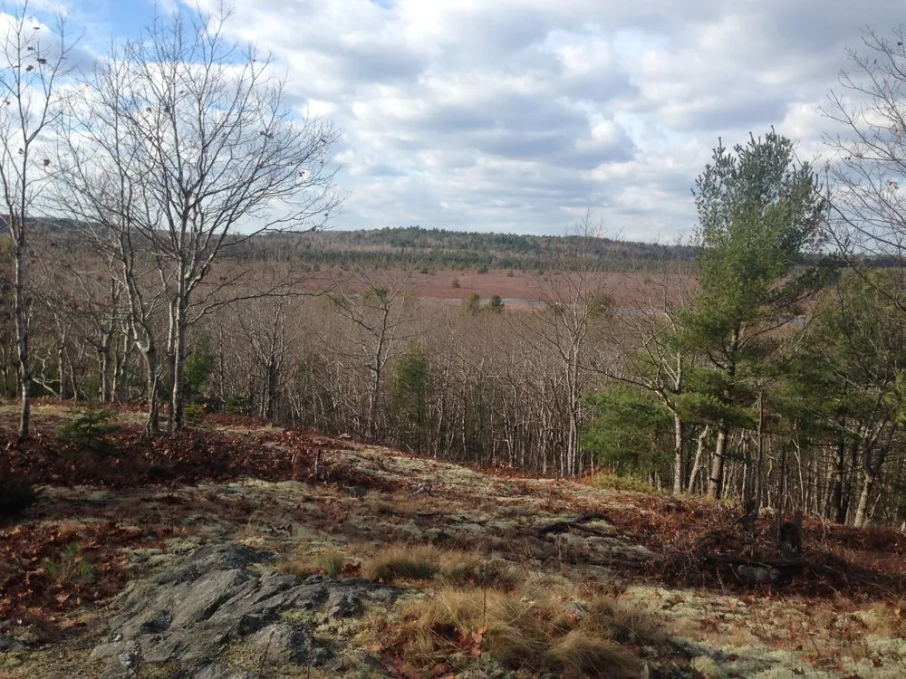 Affordable landscape installation in Brunswick, ME by Birch Tree Arborist