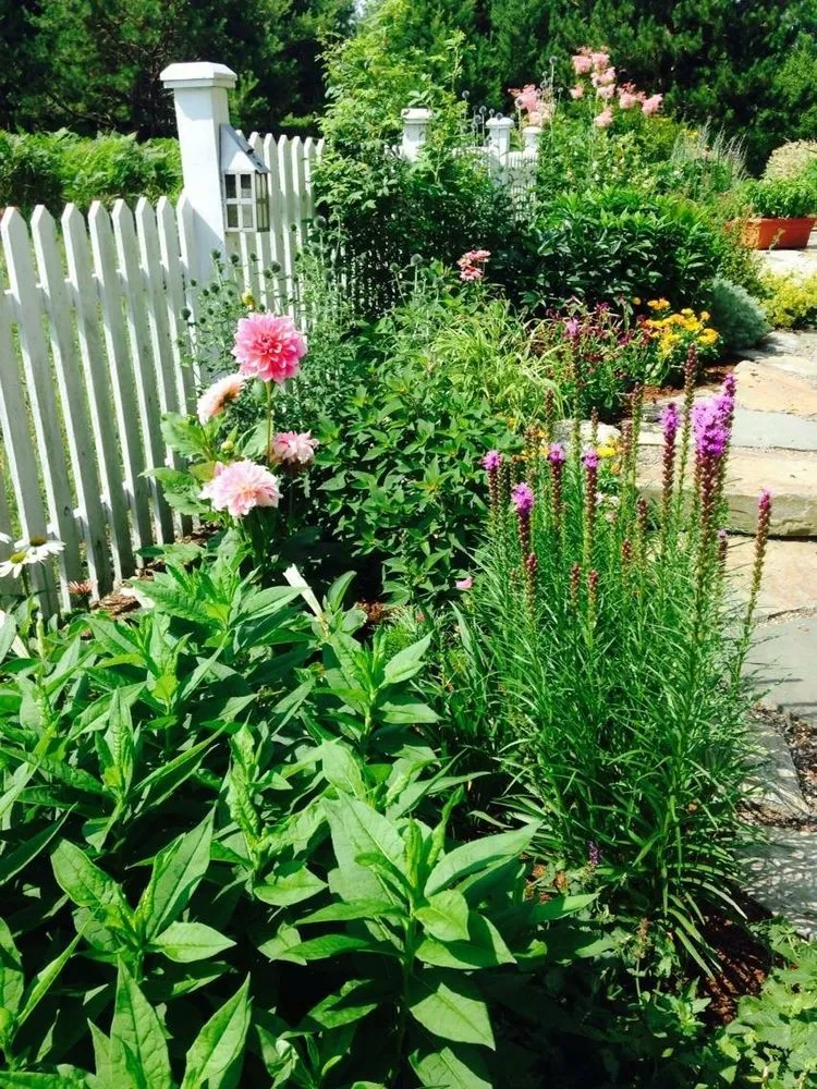 Trusted landscape installation for outdoor upgrades across Brunswick, ME - Birch Tree Arborist