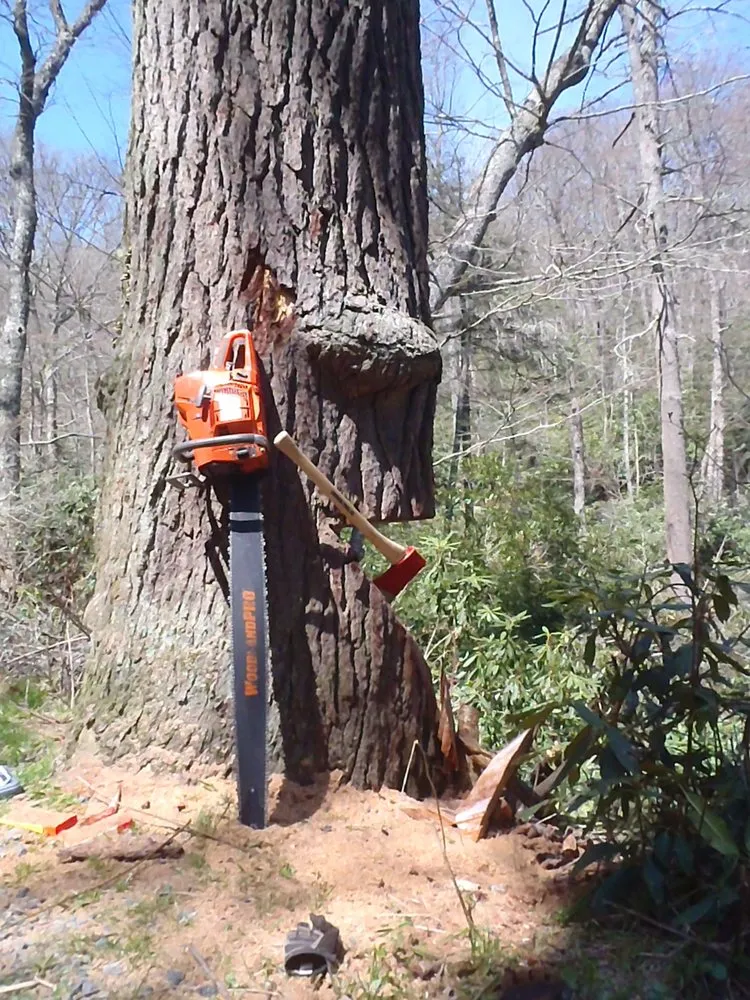 Professional lawn mowing service experts serving Brunswick, ME - Birch Tree Arborist