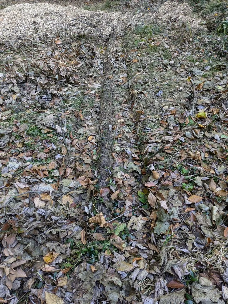 Affordable outdoor landscaping in Rochester, NY - Birchcrest Tree & Landscape