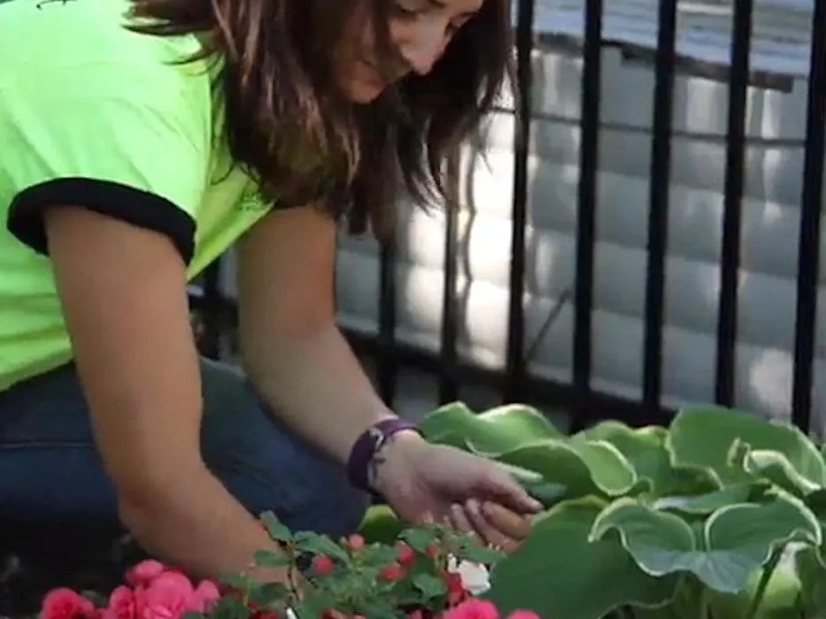 Reliable landscape installation in Rochester, NY - Birchcrest Tree & Landscape