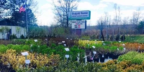 Top-rated landscaping services for residential properties across Rhinelander, WI - Birchfield Nurseries