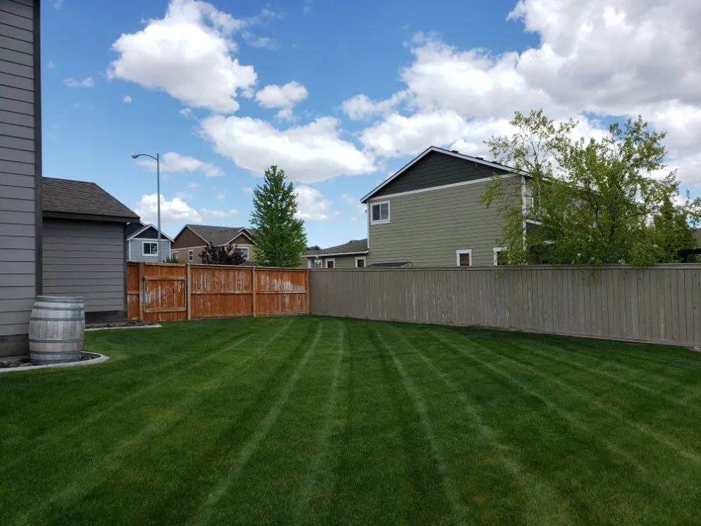 Custom lawn care service for year-round maintenance across Kennewick, WA - Birch's Lawn Care