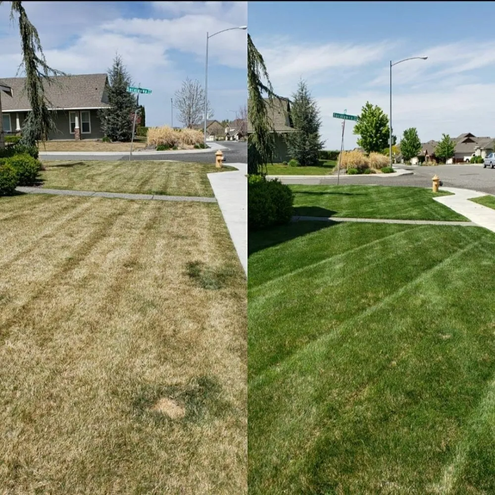 Expert landscape installation in Kennewick, WA - Birch's Lawn Care