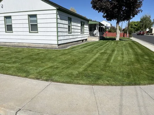 Birch's Lawn Care Logo