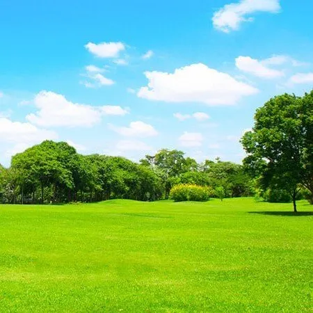 Top-rated lawn care service in Arlington Heights, IL by Birchwood Tree Services