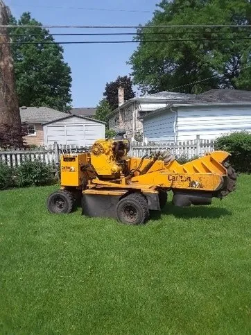 Professional yard cleanup service in Arlington Heights, IL by Birchwood Tree Services