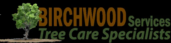 Custom yard maintenance with custom design in Arlington Heights, IL by Birchwood Tree Services