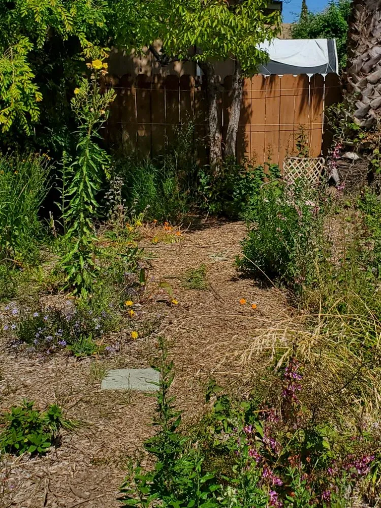 Affordable landscaping services in Richmond, CA by Bird and Butterfly Gardening