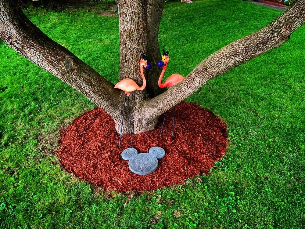 Custom yard maintenance in Lower Burrell, PA by Bird Dog Landscape Construction