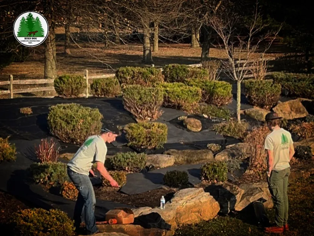 Affordable yard cleanup service experts serving Lower Burrell, PA - Bird Dog Landscape Construction