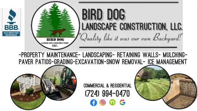 Affordable yard cleanup service for outdoor upgrades in Lower Burrell, PA by Bird Dog Landscape Construction