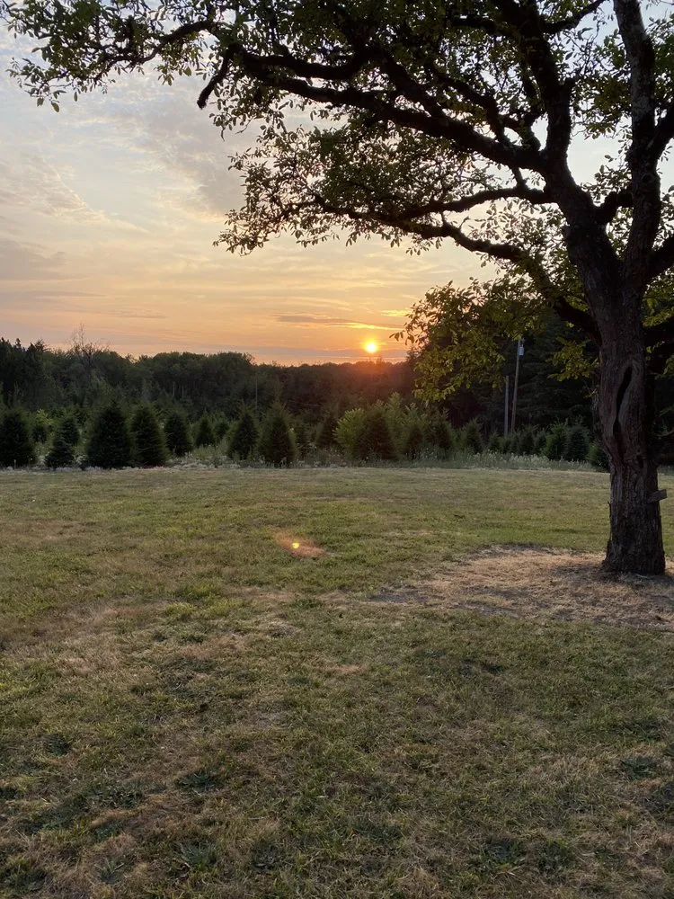 Affordable residential landscaping for year-round maintenance across Albany, OR - Bird Dog Yard Maintenance and Handyman Services