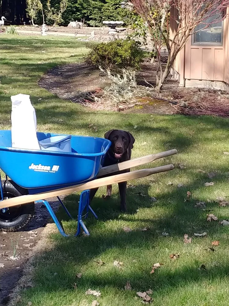 Expert residential landscaping experts serving Albany, OR - Bird Dog Yard Maintenance and Handyman Services