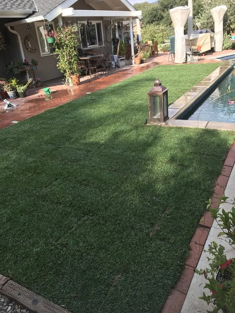 Affordable lawn care service experts serving Monrovia, CA - Bird of Paradise Landscape
