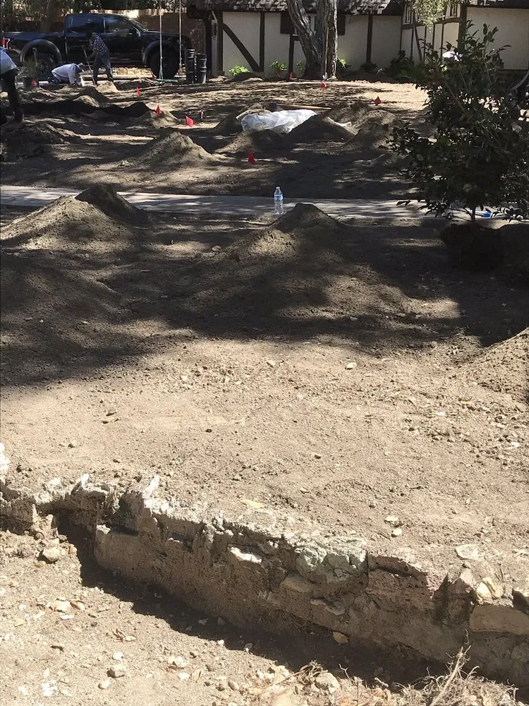 Local landscape design in Monrovia, CA - Bird of Paradise Landscape