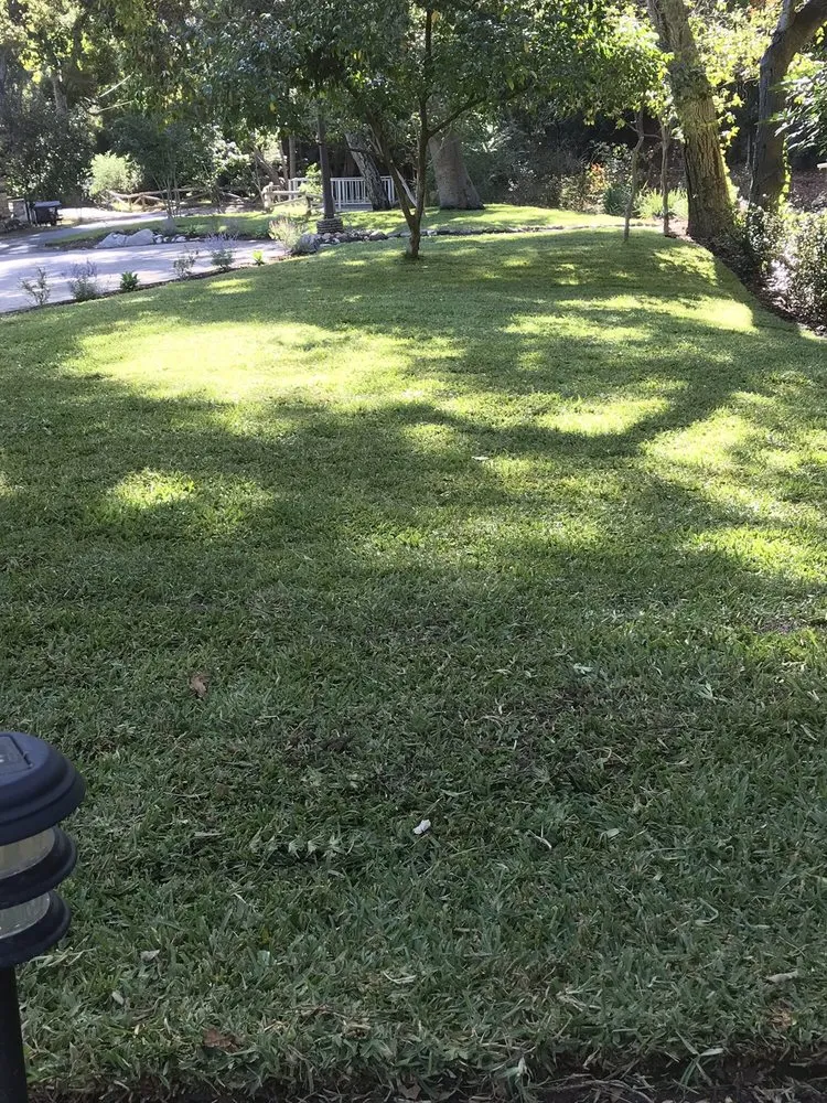 Professional landscape installation experts serving Monrovia, CA - Bird of Paradise Landscape