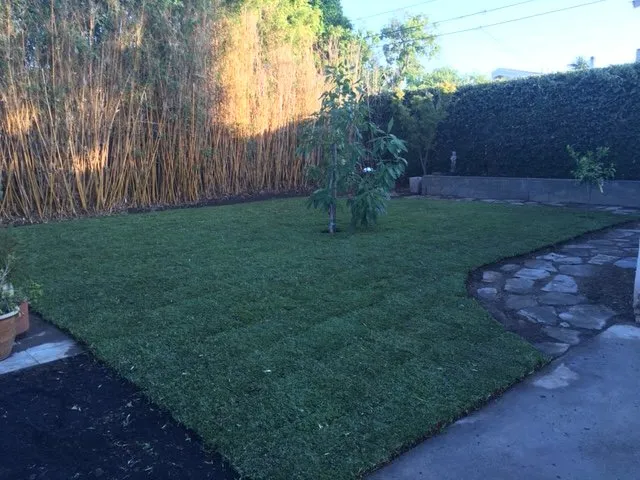 Expert landscape installation with custom design in Monrovia, CA by Bird of Paradise Landscape