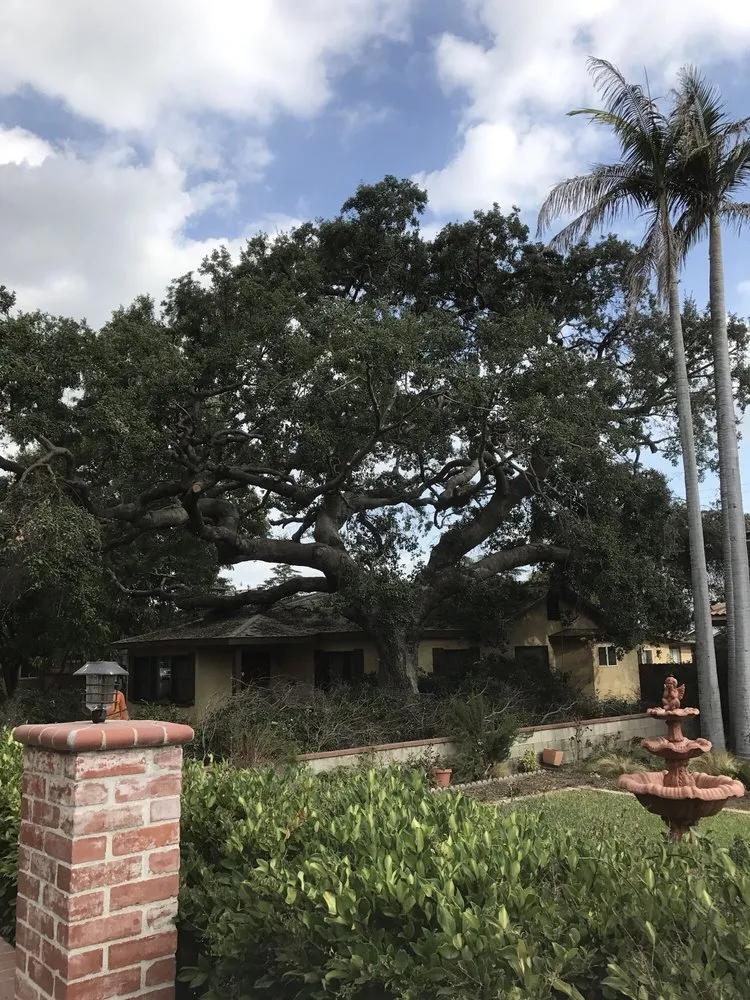 Custom garden landscaping experts serving Monrovia, CA - Bird of Paradise Landscape