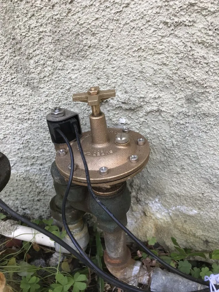 Local residential landscaping in Monrovia, CA - Bird of Paradise Landscape