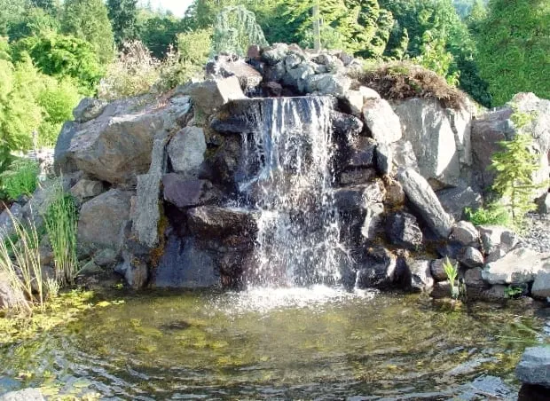 Local yard maintenance experts serving Rainier, OR - Birdbaths & Fountains'unlimited