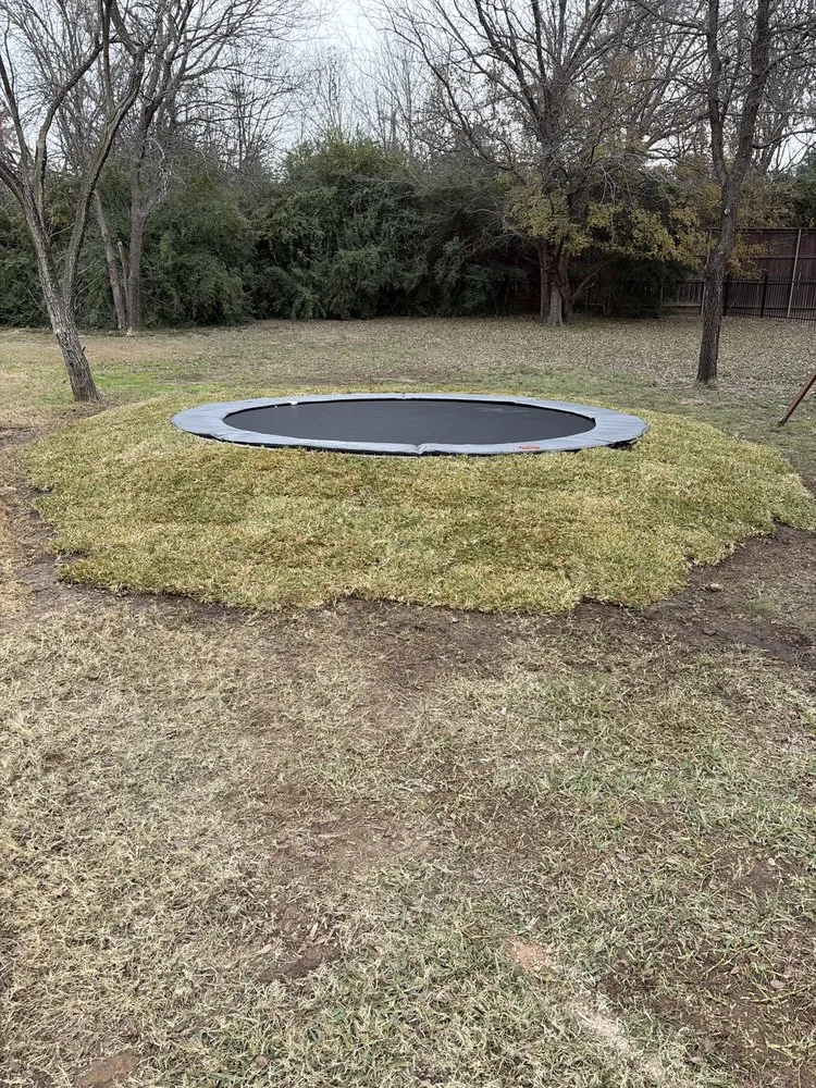 Reliable landscape installation experts serving North Richland Hills, TX - Bird's Landscape and Irrigation