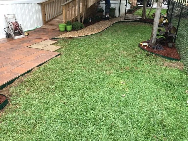 Top-rated yard cleanup service experts serving North Richland Hills, TX - Bird's Landscape and Irrigation