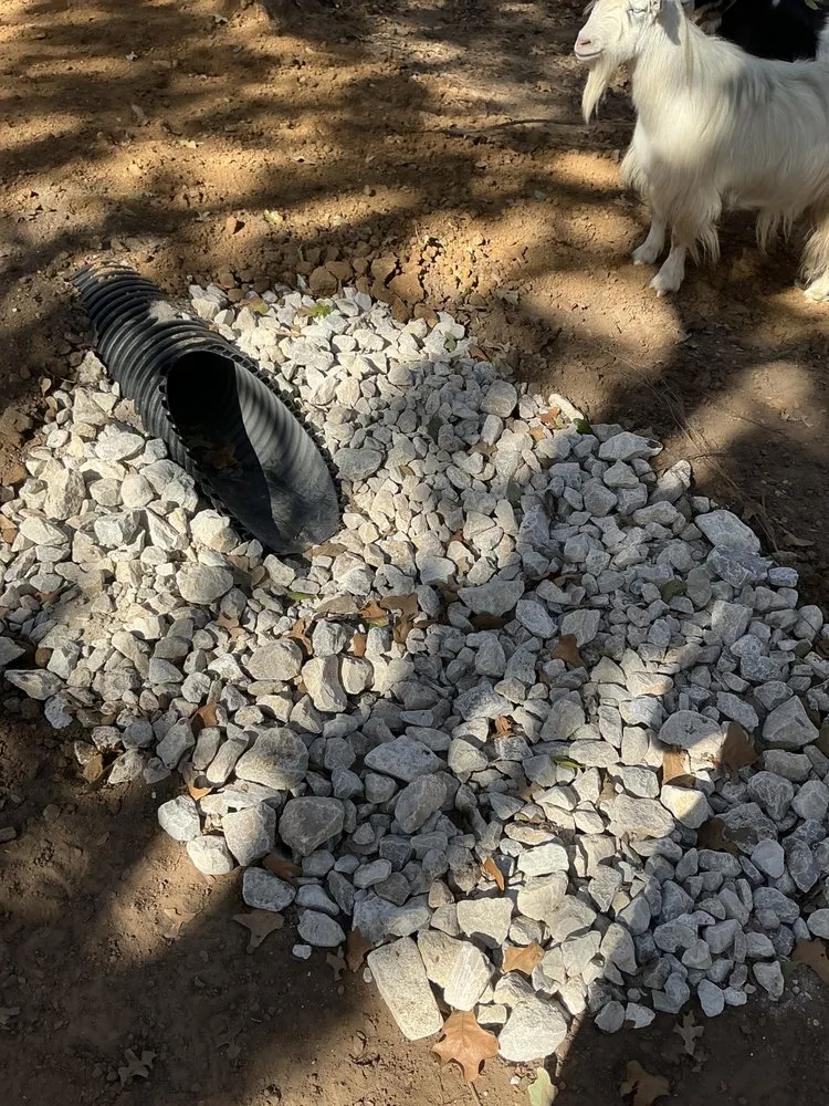 Top-rated landscaping services in North Richland Hills, TX - Bird's Landscape and Irrigation