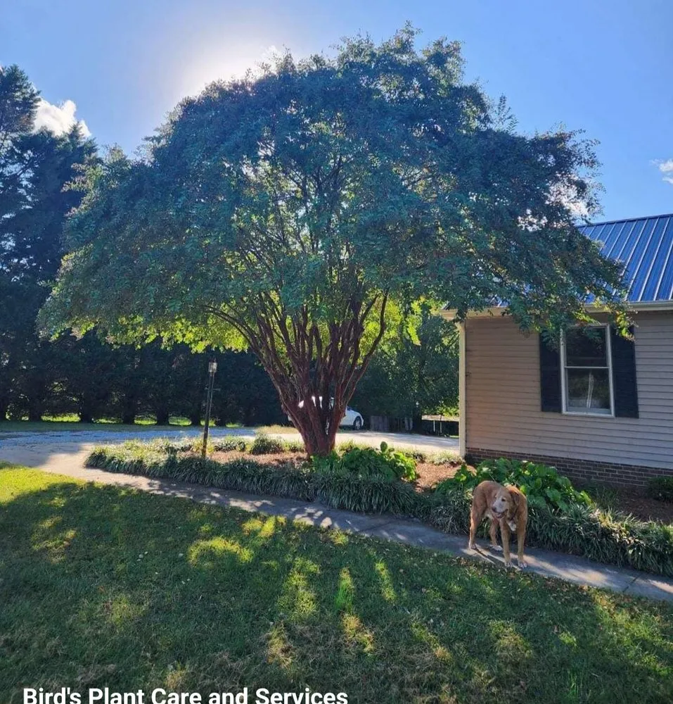 Local lawn care service experts serving Burlington, NC - Bird’s Plant Care and Services