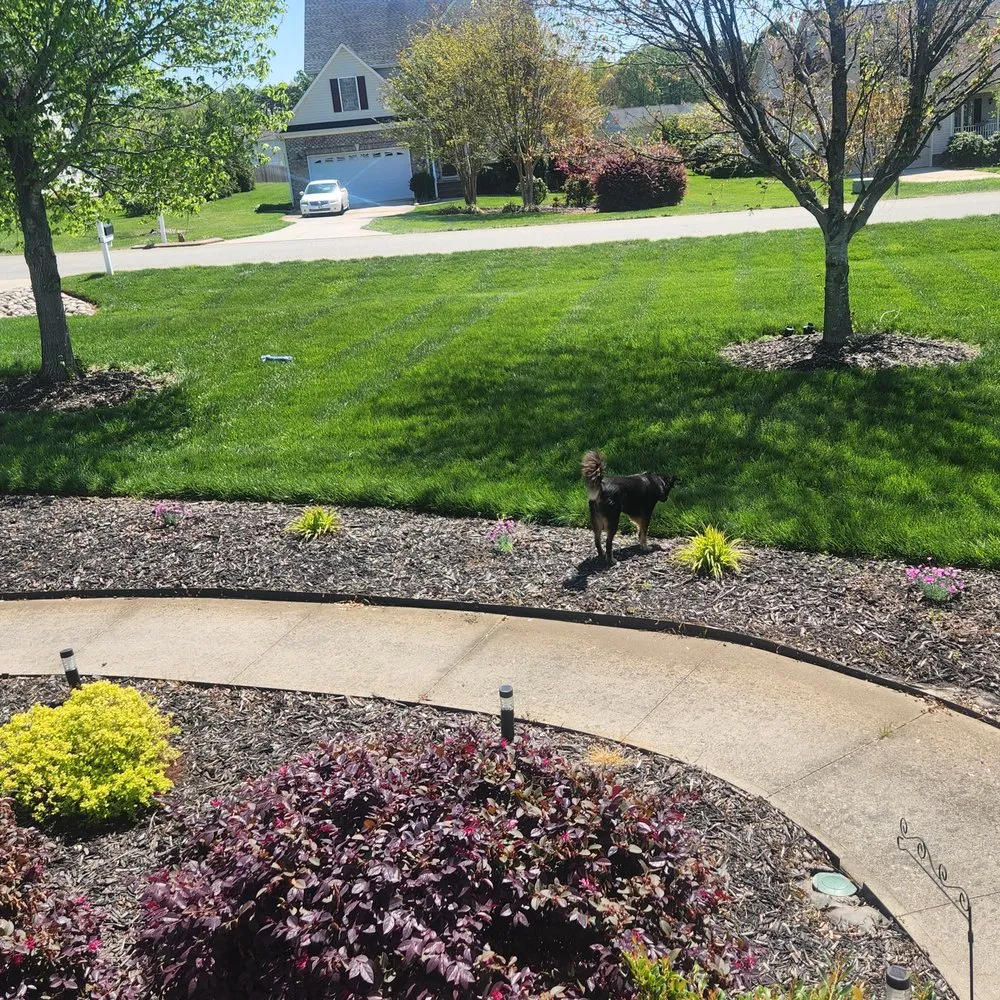 Local outdoor landscaping in Burlington, NC - Bird’s Plant Care and Services