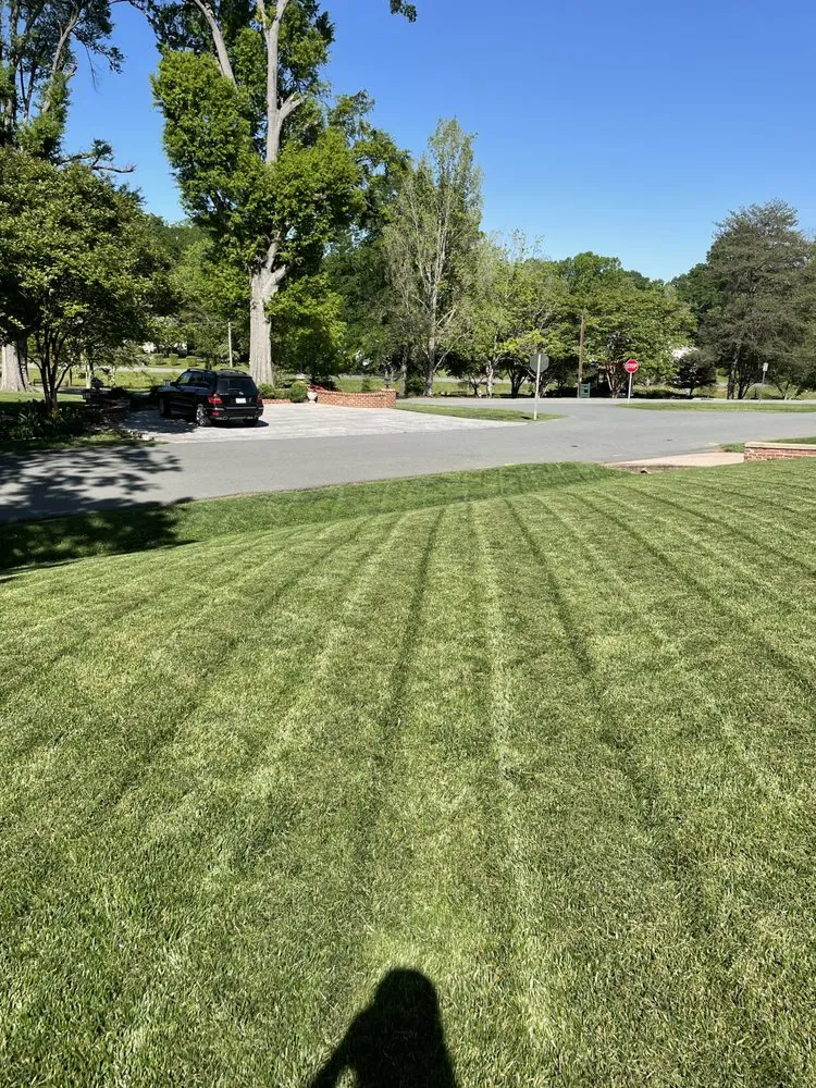 Custom residential landscaping experts serving Burlington, NC - Bird’s Plant Care and Services