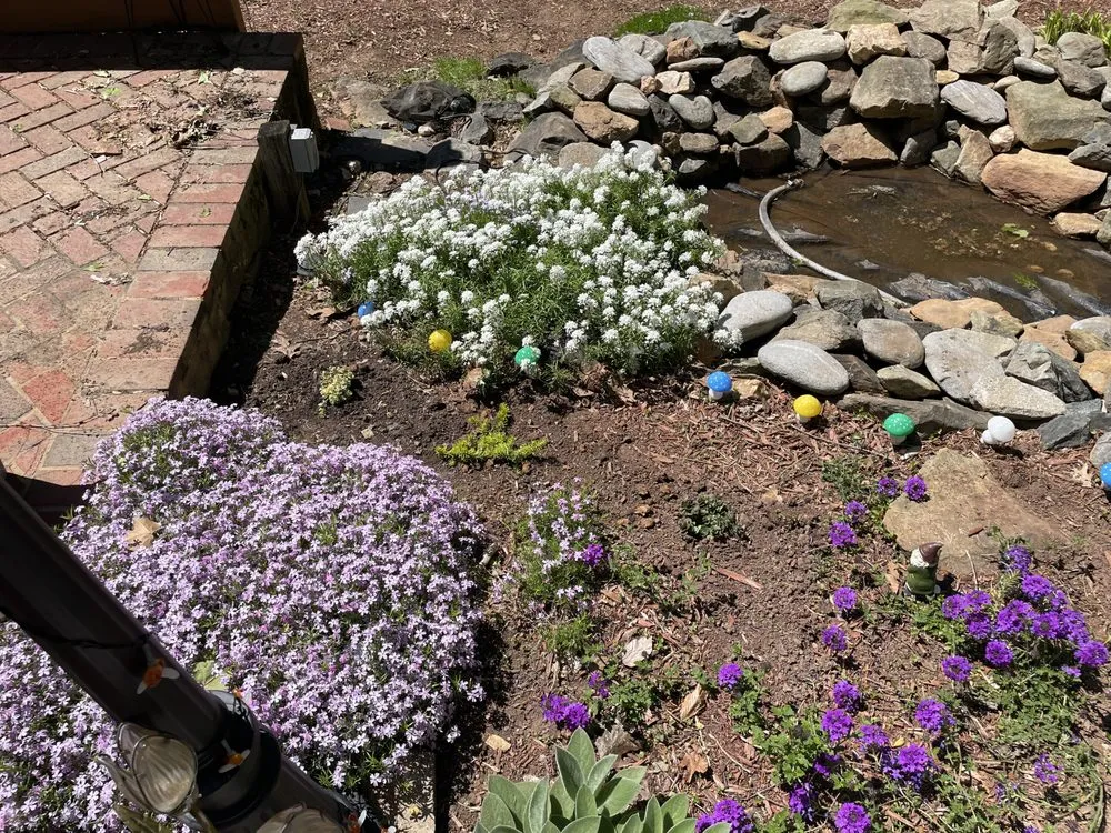 Top-rated landscape installation in Burlington, NC by Bird’s Plant Care and Services