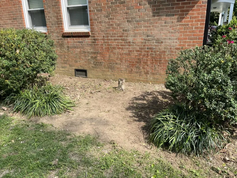 Reliable lawn mowing service in Burlington, NC by Bird’s Plant Care and Services