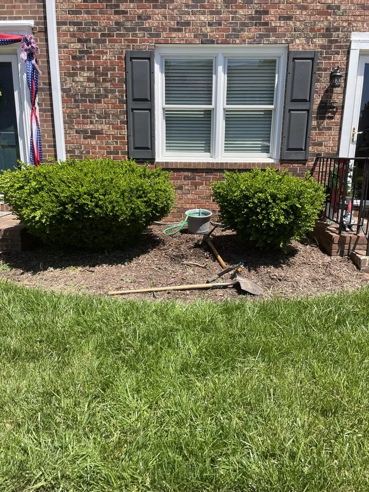 Expert outdoor landscaping near you in Burlington, NC by Bird’s Plant Care and Services