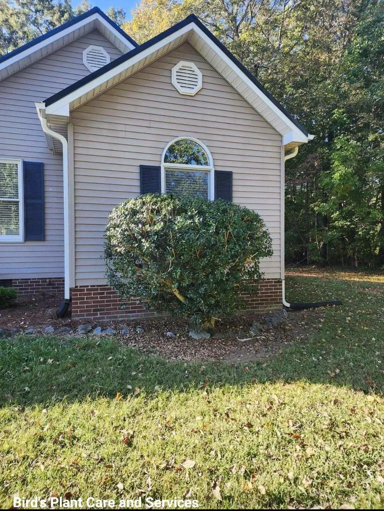 Expert yard maintenance in Burlington, NC by Bird’s Plant Care and Services