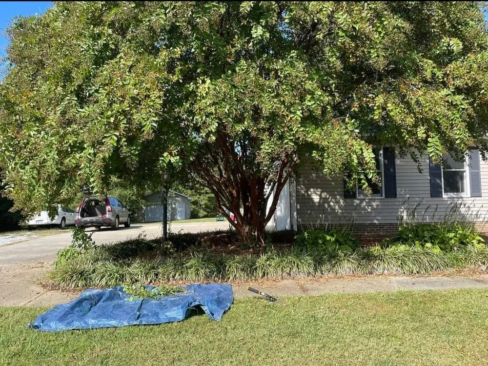 Expert yard maintenance in Burlington, NC - Bird’s Plant Care and Services