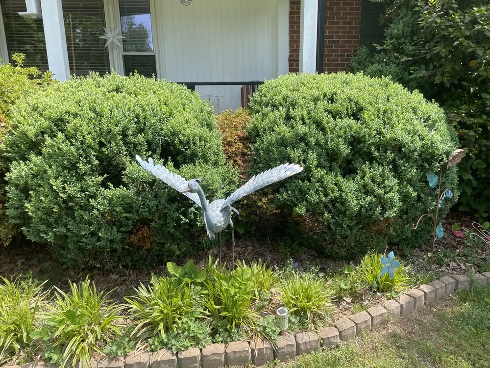 Affordable landscape design near you in Burlington, NC by Bird’s Plant Care and Services