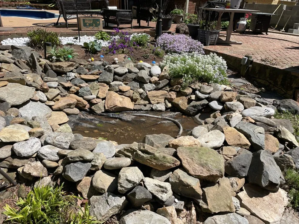 Trusted yard cleanup service in Burlington, NC by Bird’s Plant Care and Services