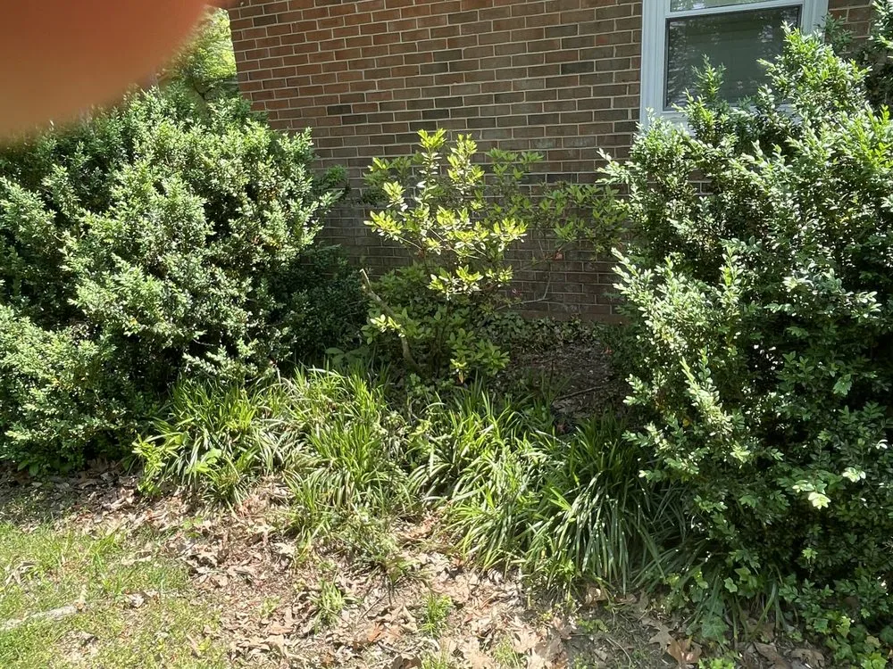 Expert outdoor landscaping for outdoor upgrades across Burlington, NC - Bird’s Plant Care and Services