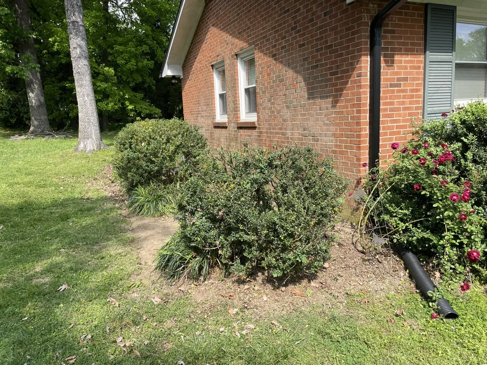 Top-rated yard maintenance with custom design across Burlington, NC - Bird’s Plant Care and Services