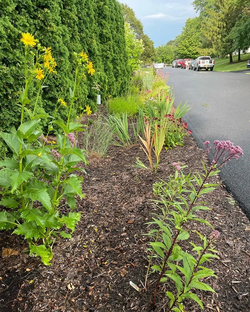 Local lawn mowing service experts serving Pittsford, NY - Birdsong Landscape Design