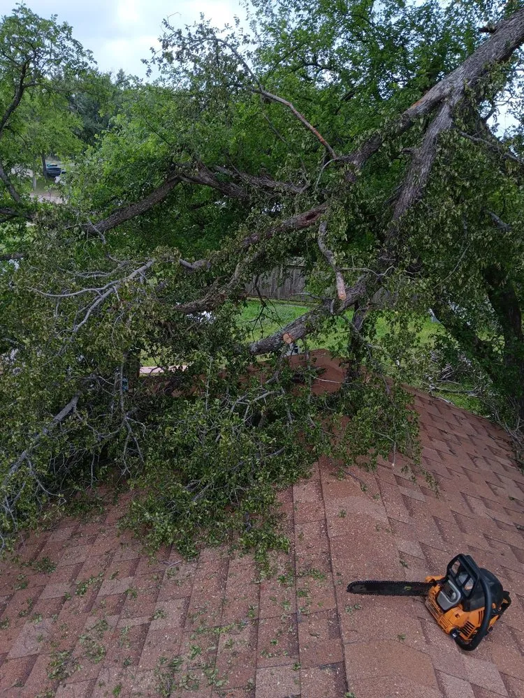 Expert yard cleanup service experts serving Kingsland, TX - Birdsong's Lawn Services