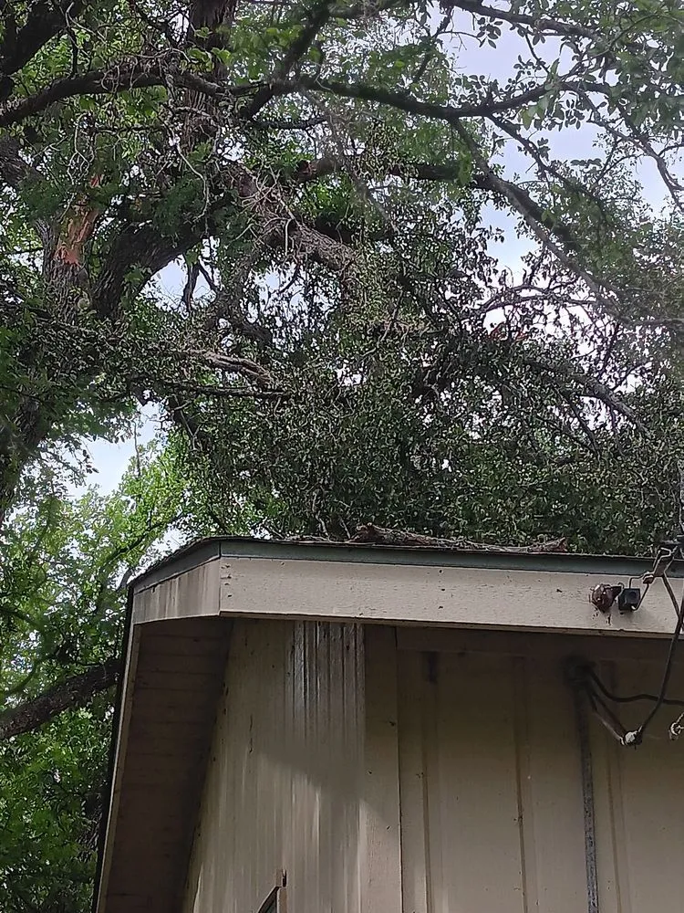 Local lawn care service near you across Kingsland, TX - Birdsong's Lawn Services