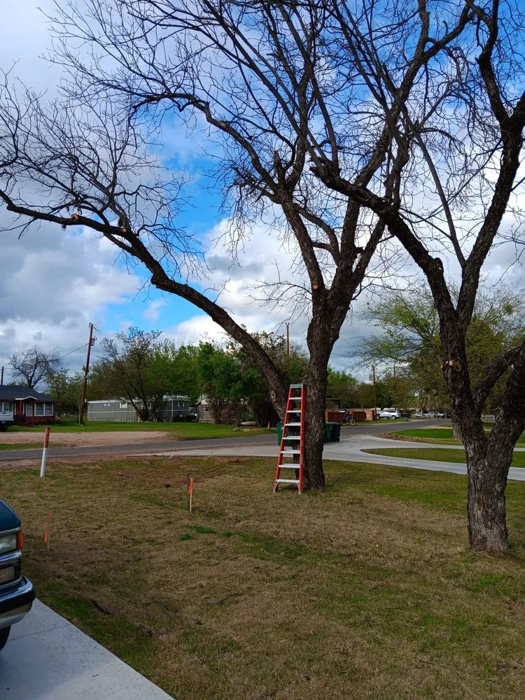 Top-rated outdoor landscaping for year-round maintenance across Kingsland, TX - Birdsong's Lawn Services