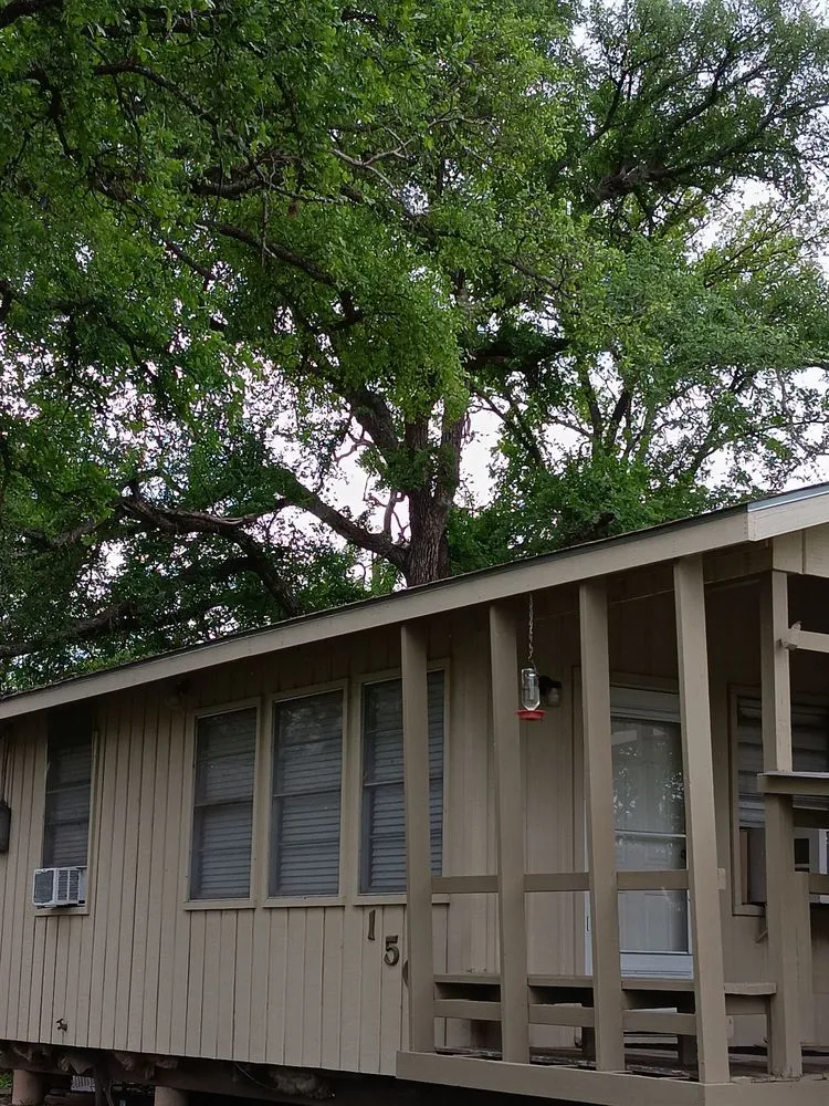 Affordable lawn mowing service experts serving Kingsland, TX - Birdsong's Lawn Services