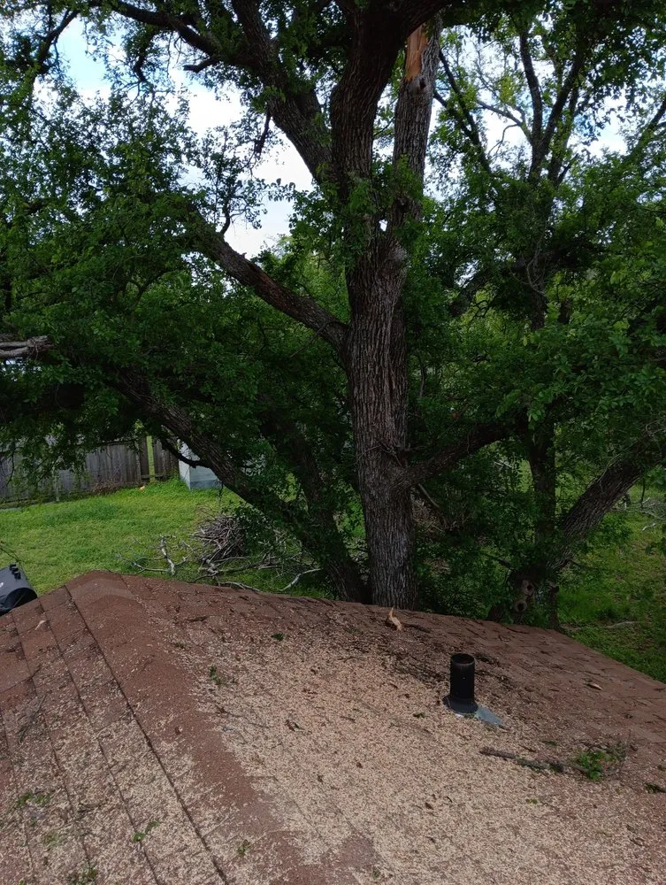 Top-rated lawn mowing service for outdoor upgrades in Kingsland, TX by Birdsong's Lawn Services