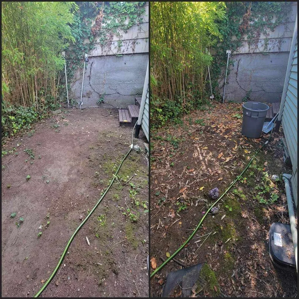 Expert landscape installation in Seattle, WA by Birmingham Home Services