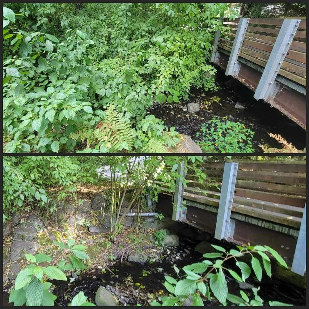 Trusted lawn mowing service in Seattle, WA by Birmingham Home Services