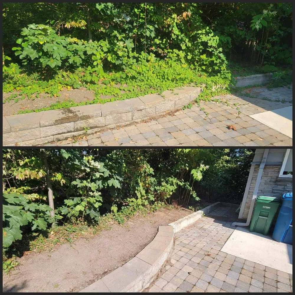 Expert residential landscaping in Seattle, WA by Birmingham Home Services