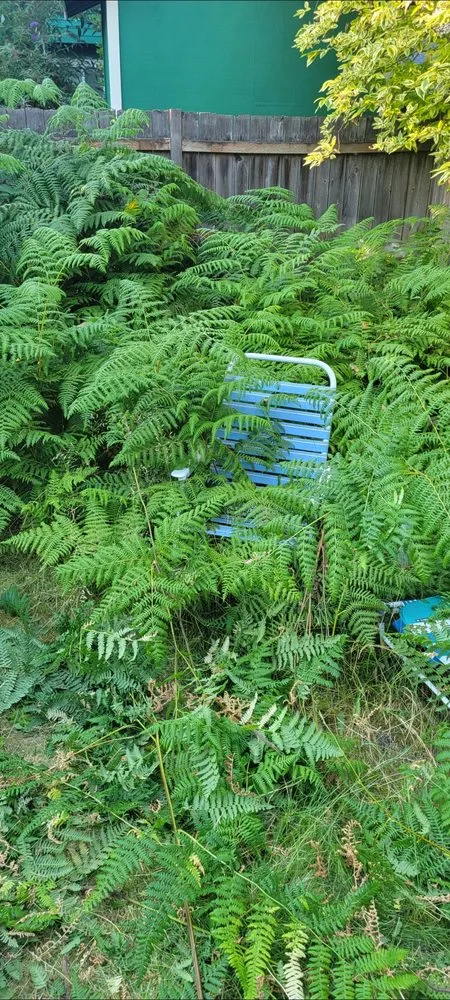 Expert landscape design for residential properties in Seattle, WA by Birmingham Home Services